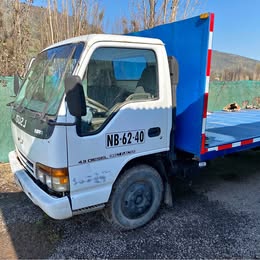 Isuzu Npr 1995