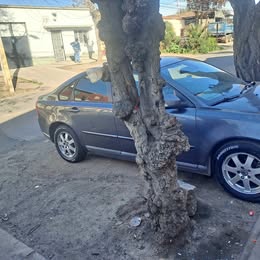 Volvo S40 2010