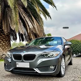 2016 BMW Series 2 2016 usado