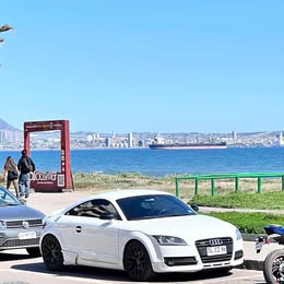 Audi Tt 2007