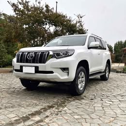 2020 Toyota Land Cruiser Prado 2020 usado