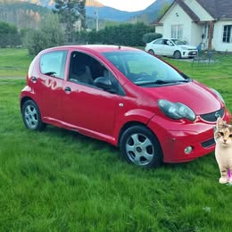 Byd F0 2012