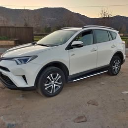 2019 Toyota RAV4 2019 usado