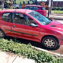 Peugeot 206 2007