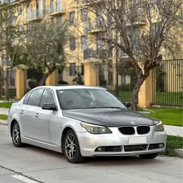 2010 BMW Series 5 2010 usado