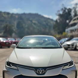 2021 Toyota Corolla 2021 usado