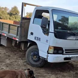 Isuzu Npr 1996
