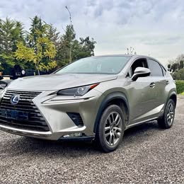 Lexus Nx 2022