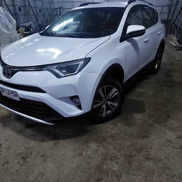 2017 Toyota RAV4 2017 usado